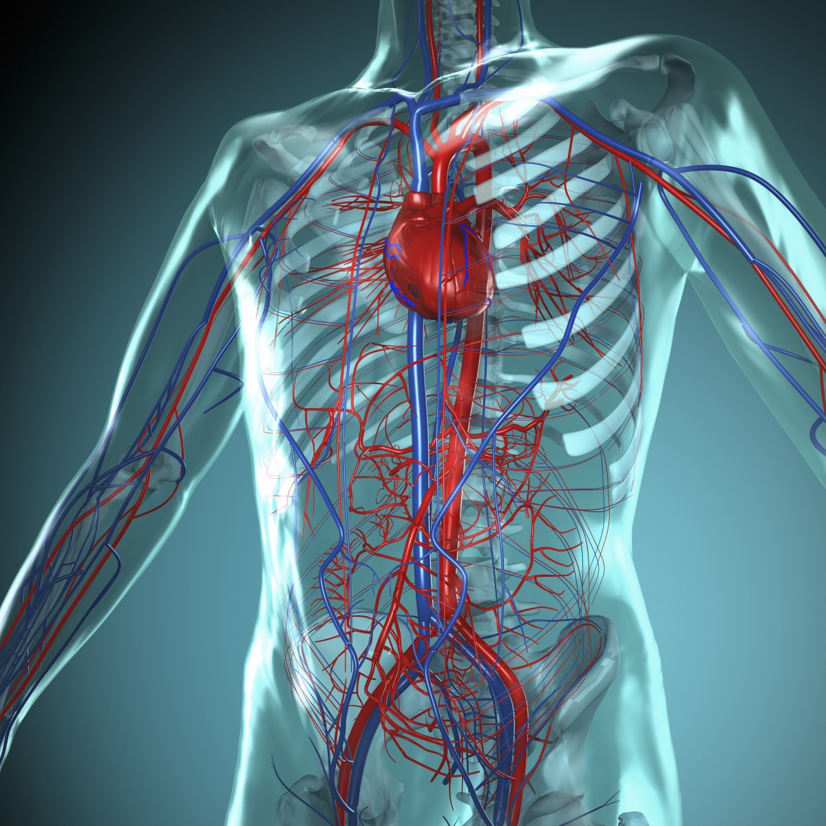 researchers-establish-networks-for-cardiovascular-disease-phenotypes