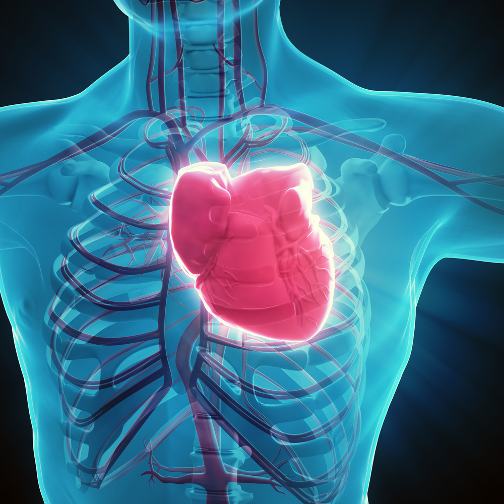 Bellerophon Therapeutics Reveals Top-Line PRESERVATION I Findings on Bioabsorbable Cardiac Matrix