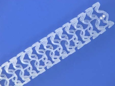 Absorbable stent for coronary artery disease